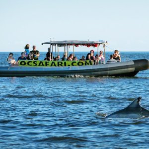 Boat tour in ocean city MD